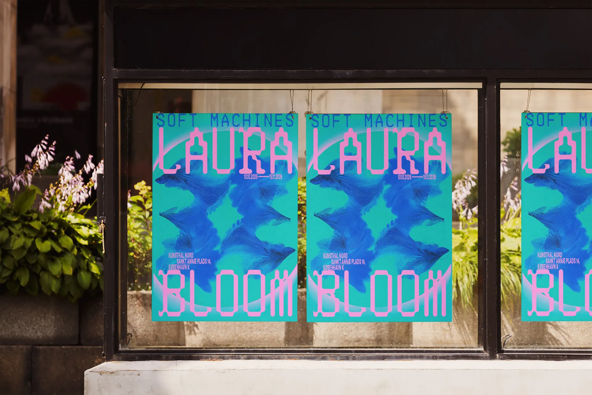 LAURA